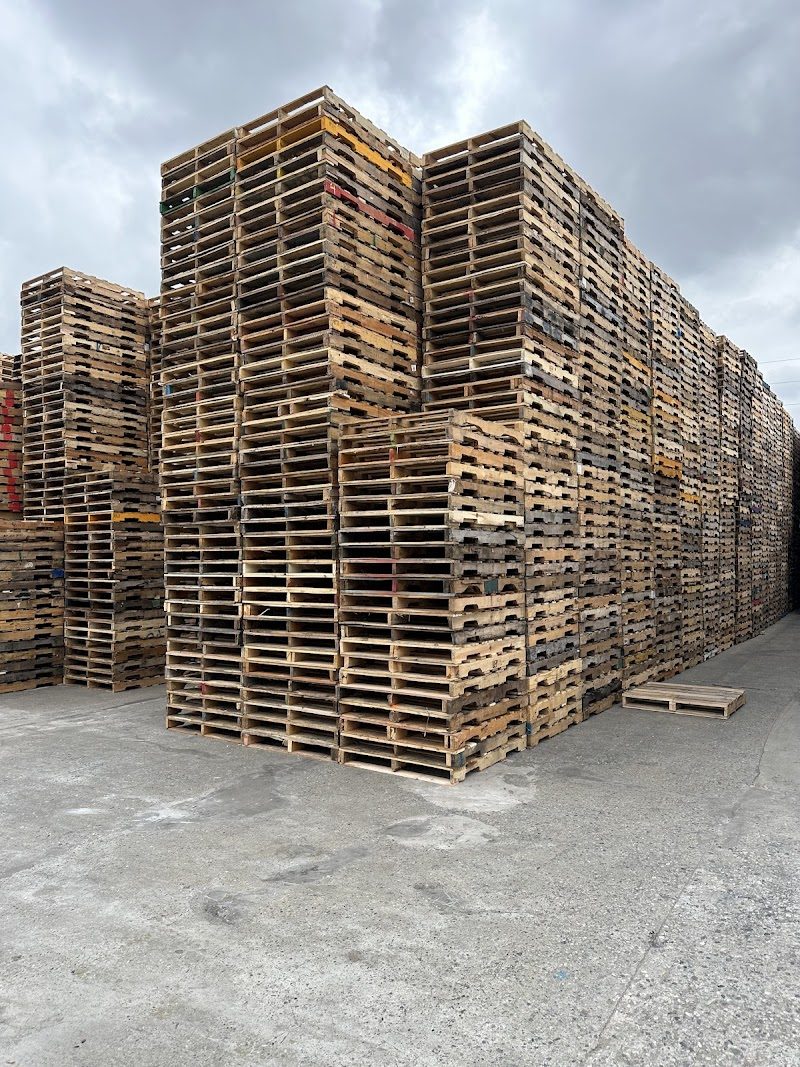 Hundreds of wood pallets stacked in tall rows at the International Pallet yard in Gardena, CA
